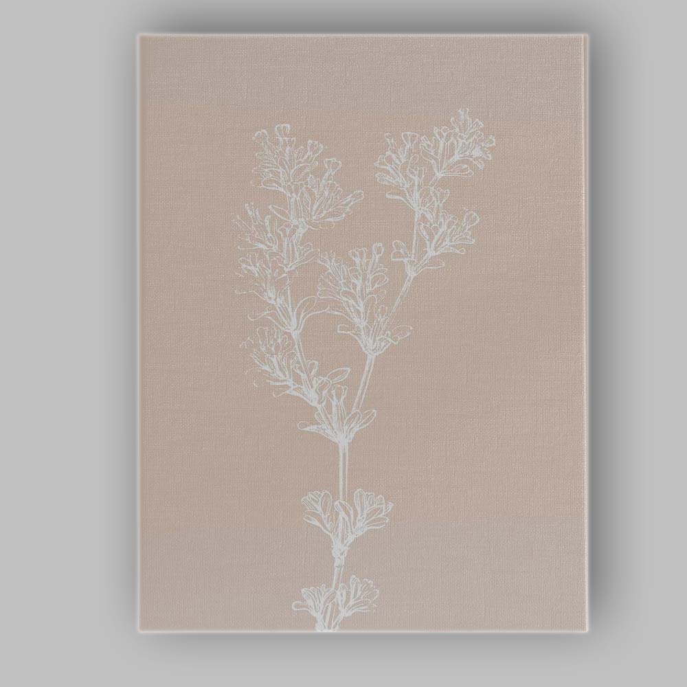 Neutral Botanical Coastal Wildflower Line Drawing Canvas Wall Art Print Decor Picture Ready to Hang