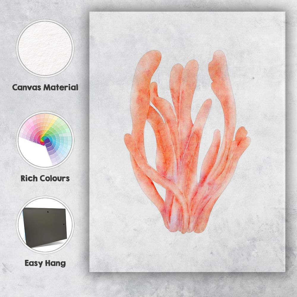 Pink Watercolour Branching Sea Coral Illustration Canvas Wall Art Print Decor Picture Ready to Hang
