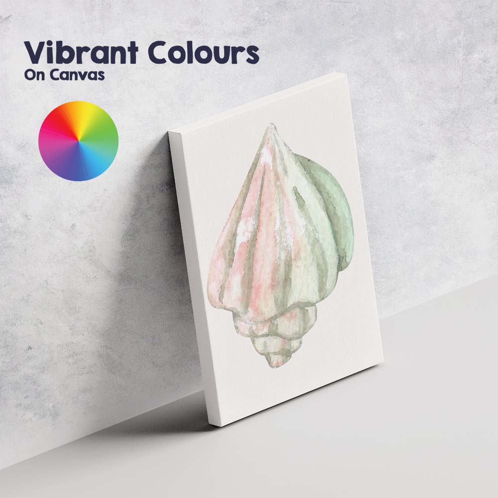 Pastel Pink Green Watercolour Seashell Illustration Canvas Wall Art Print Decor Picture Ready to Hang