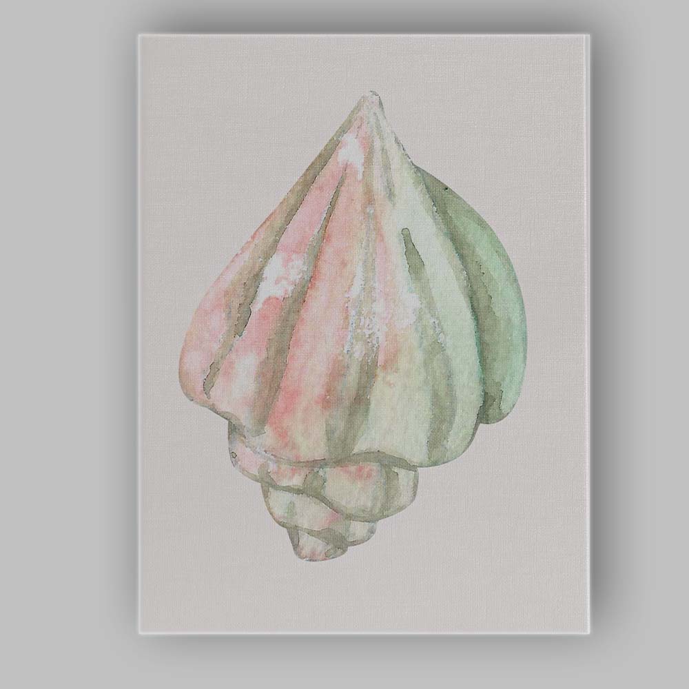 Pastel Pink Green Watercolour Seashell Illustration Canvas Wall Art Print Decor Picture Ready to Hang
