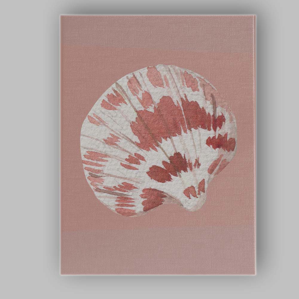 Blush Pink Watercolour Scallop Shell Coastal Illustration Canvas Wall Art Print Decor Picture Ready to Hang