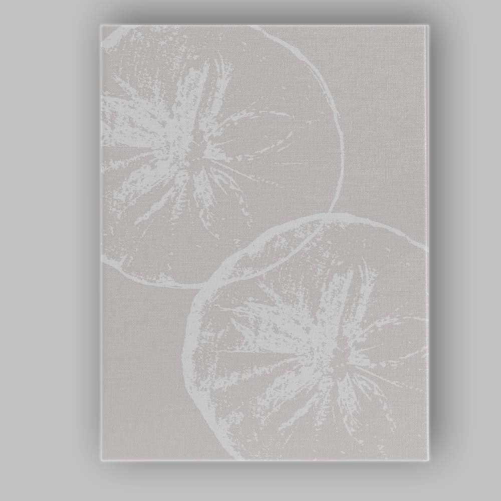 Minimalist White Sand Dollar Coastal Botanical Illustration Canvas Wall Art Print Decor Picture Ready to Hang