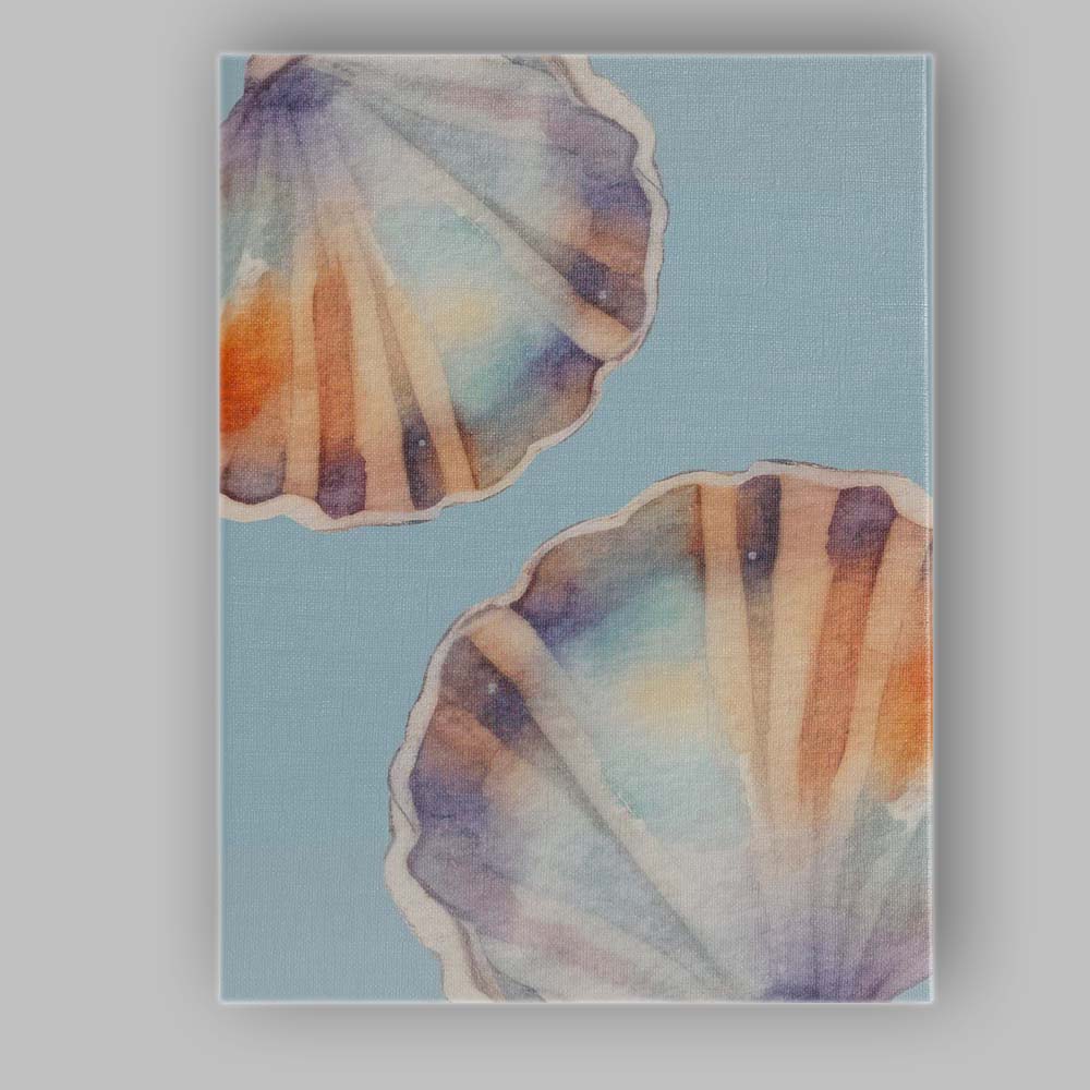 Soft Blue Watercolour Seashell Coastal Beach Illustration Canvas Wall Art Print Decor Picture Ready to Hang