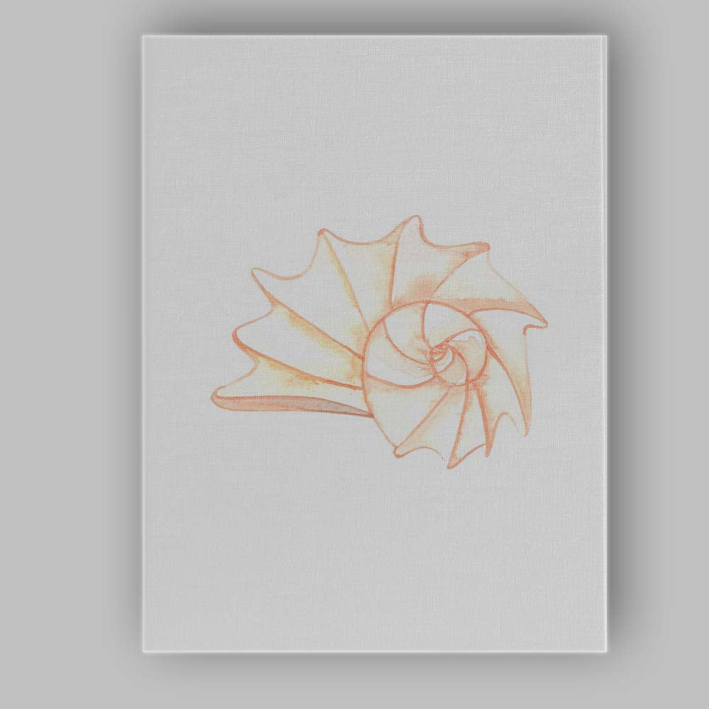 Soft Peach Nautilus Shell Coastal Watercolour Illustration Canvas Wall Art Print Decor Picture Ready to Hang