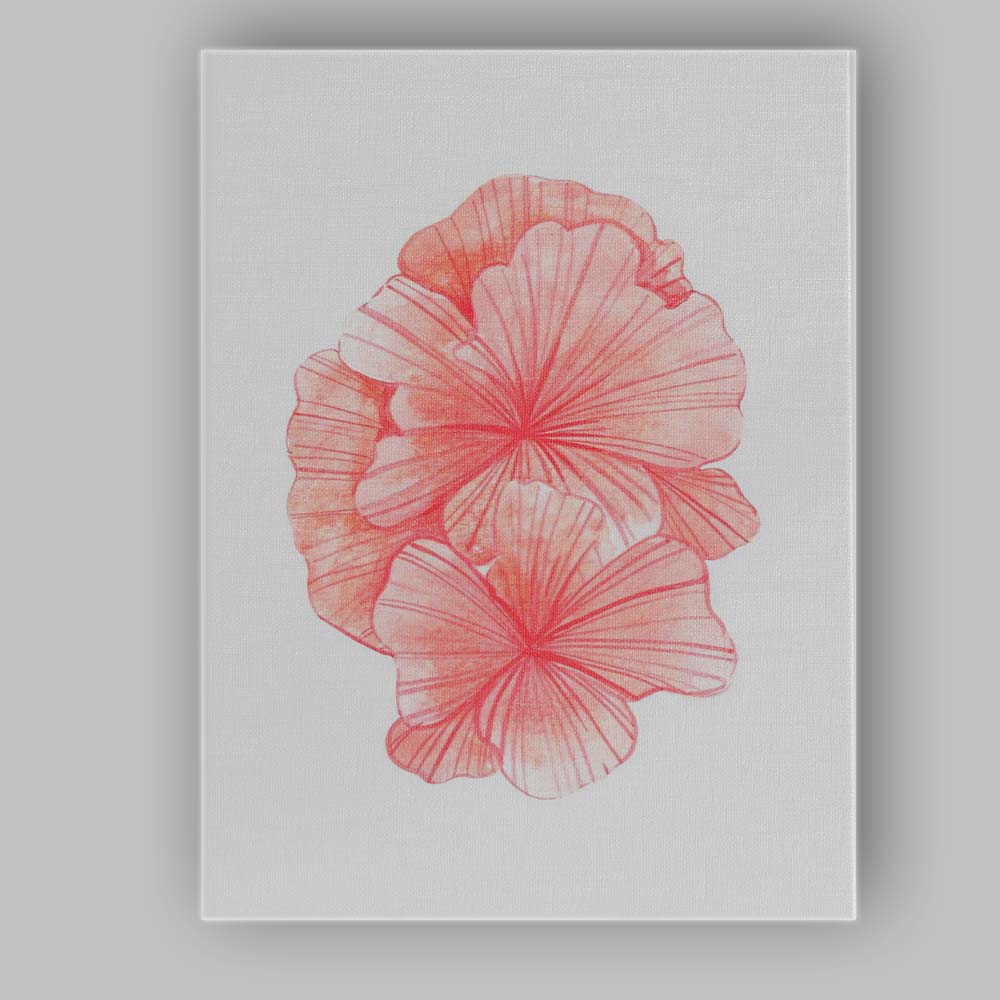 Coral Pink Watercolour Seashell Collection Coastal Illustration Canvas Wall Art Print Decor Picture Ready to Hang