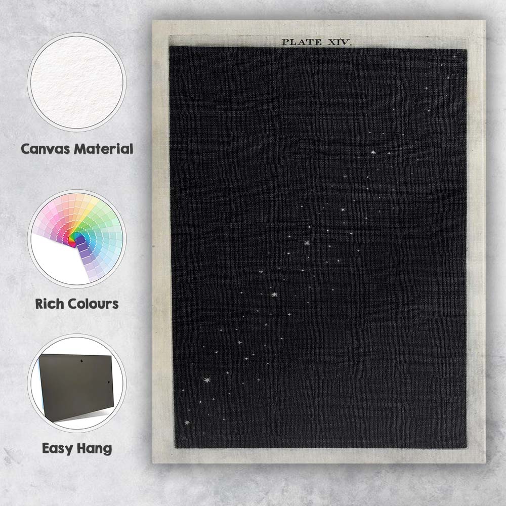 Antique Starry Night Sky Celestial Astronomy Engraving Canvas Wall Art Print Decor Picture Ready to Hang
