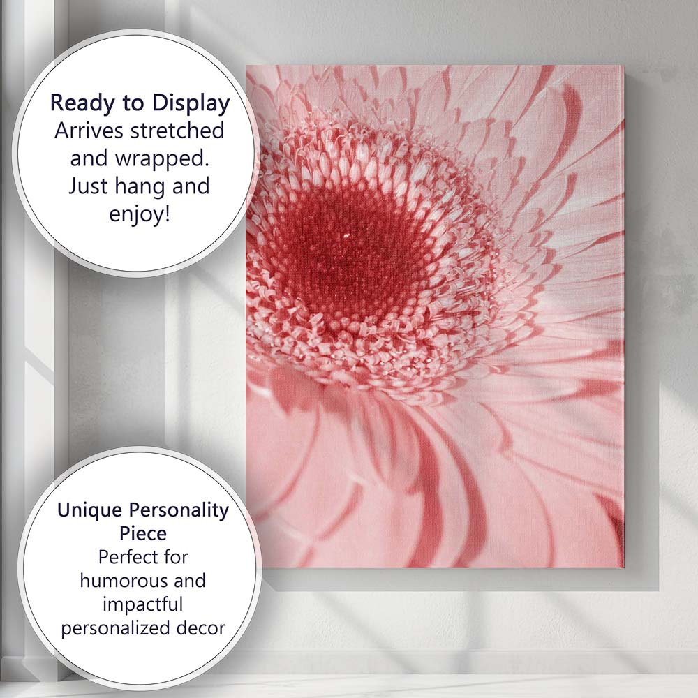 Soft Pink Gerbera Daisy Macro Floral Photography Canvas Wall Art Print Decor Picture Ready to Hang