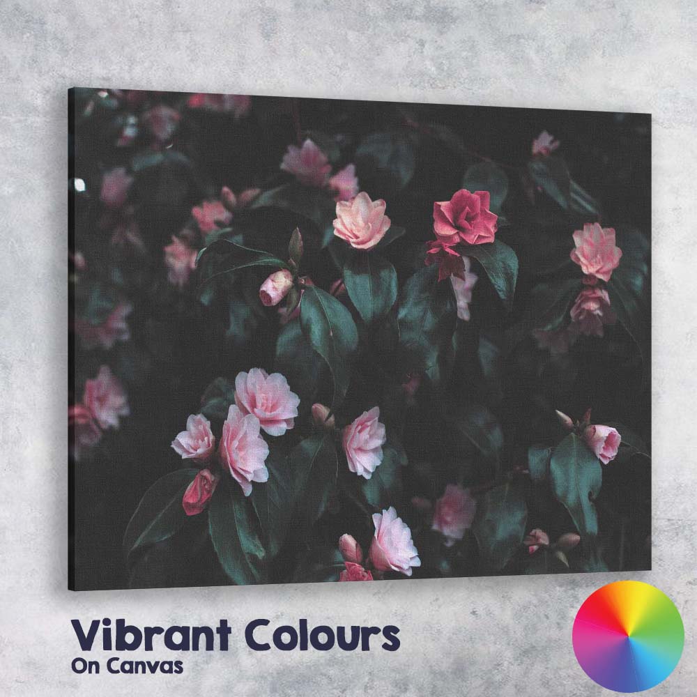 Dark Moody Pink Camellia Floral Botanical Photography Canvas Wall Art Print Decor Picture Ready to Hang