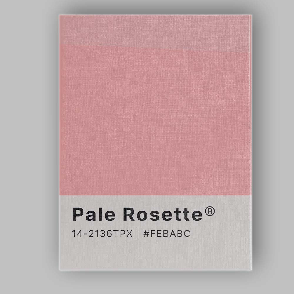 Pale Rosette Pink Colour Swatch Minimal Modern Design Canvas Wall Art Print Decor Picture Ready to Hang
