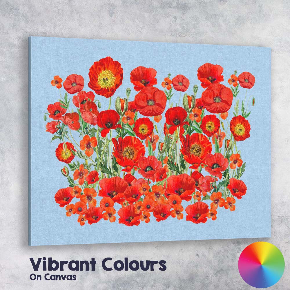 Vibrant Red Poppy Wildflower Botanical Garden Illustration Canvas Wall Art Print Decor Picture Ready to Hang