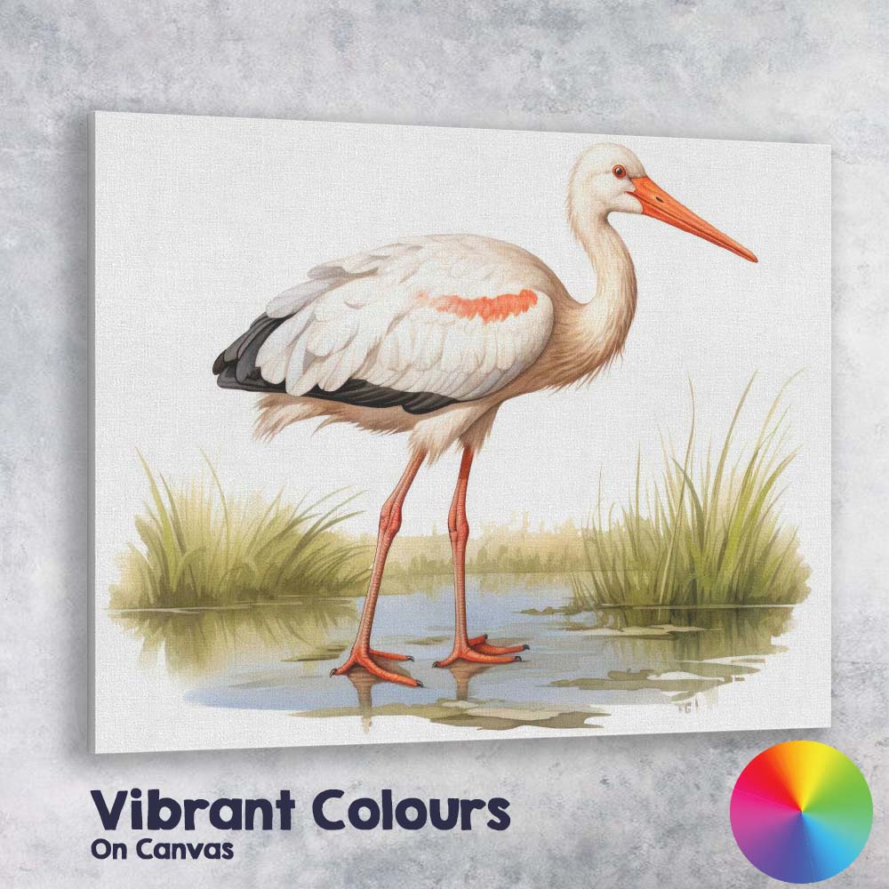 Elegant White Stork Wetland Wildlife Bird Illustration Canvas Wall Art Print Decor Picture Ready to Hang
