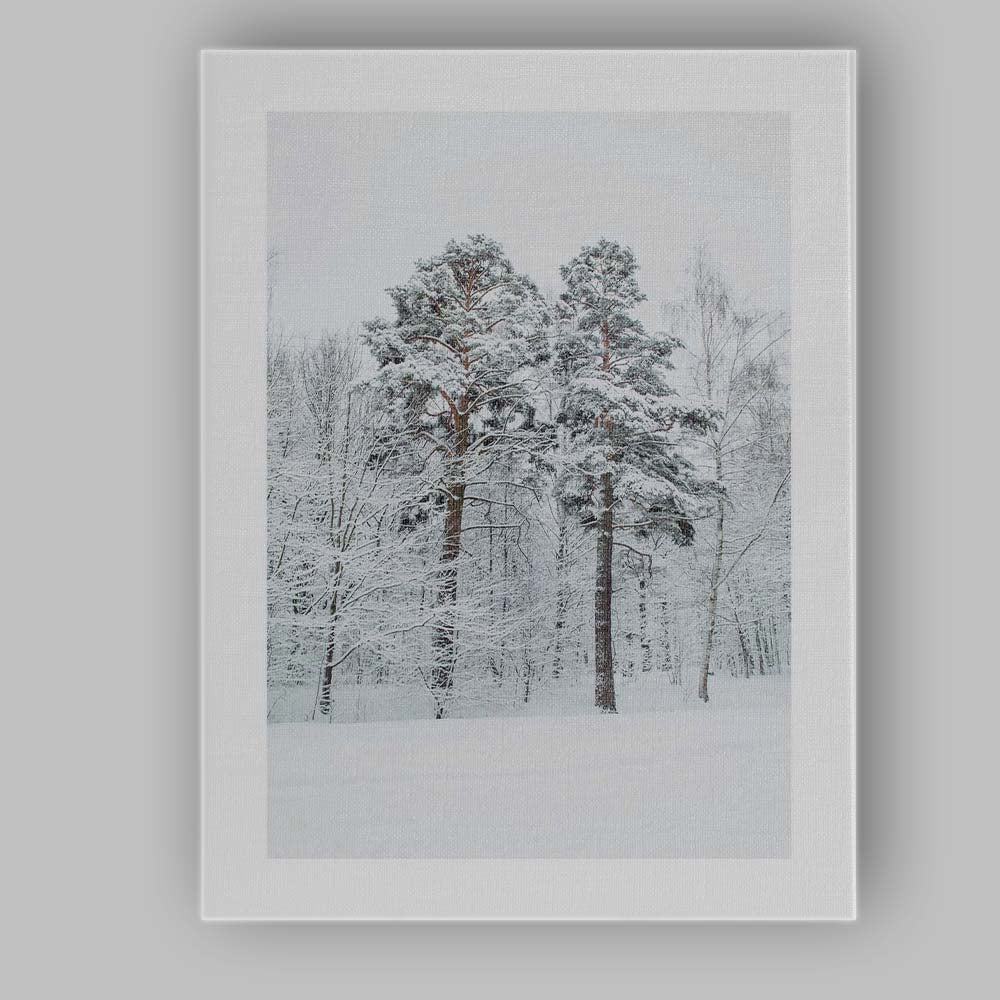 Snow Covered Winter Woodland Forest Photography Canvas Wall Art Print Decor Picture Ready to Hang