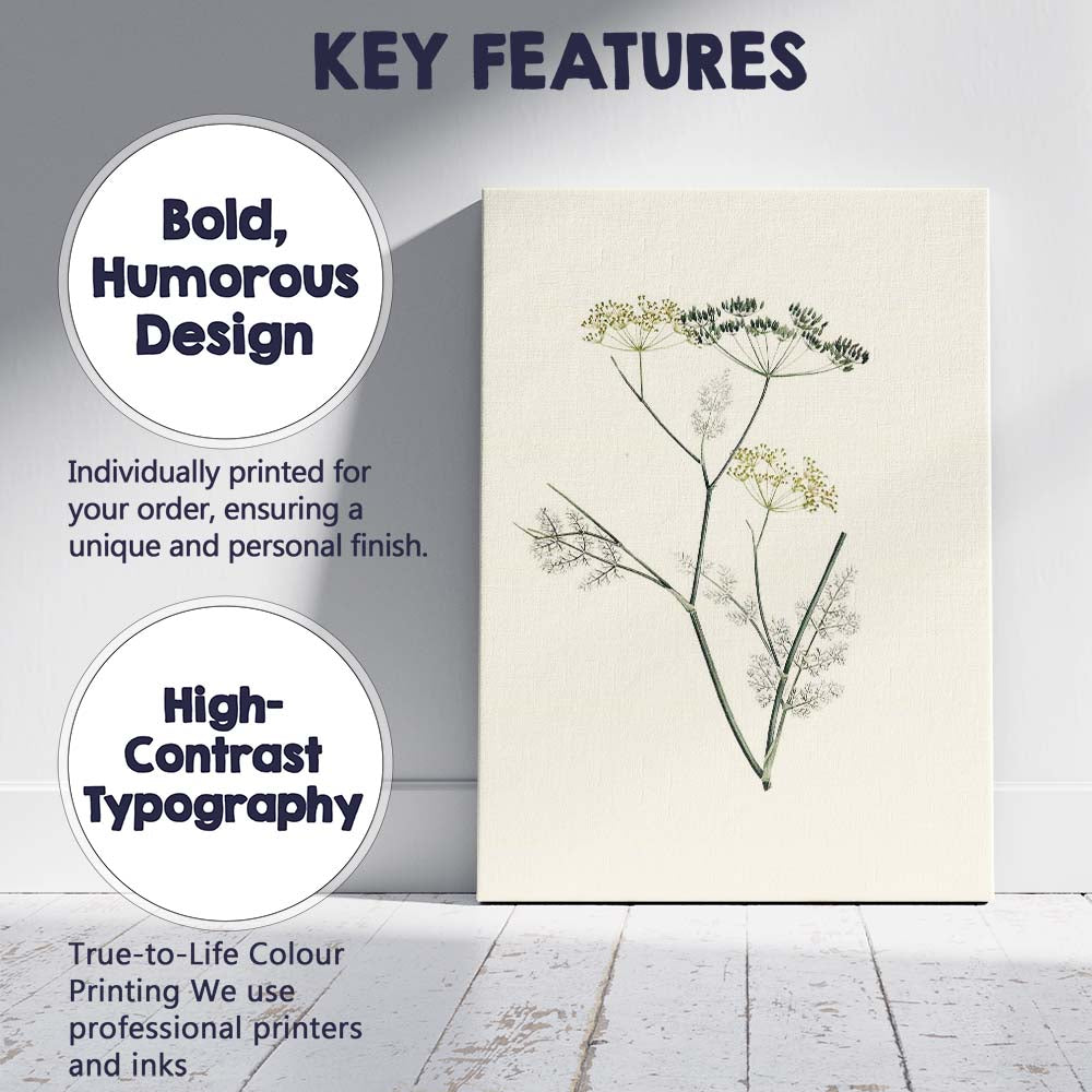 Minimal Botanical Wild Fennel Herb Illustration Canvas Wall Art Print Decor Picture Ready to Hang