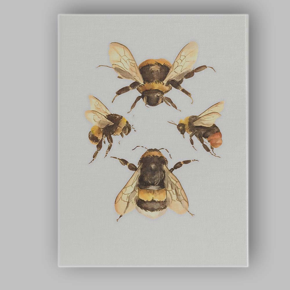 Watercolour Bumble Bee Study Natural History Wildlife Illustration Canvas Wall Art Print Decor Picture Ready to Hang