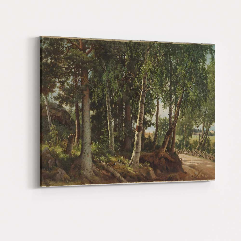 Classic Woodland Birch Pine Forest Landscape Canvas Wall Art Print Decor Picture Ready to Hang