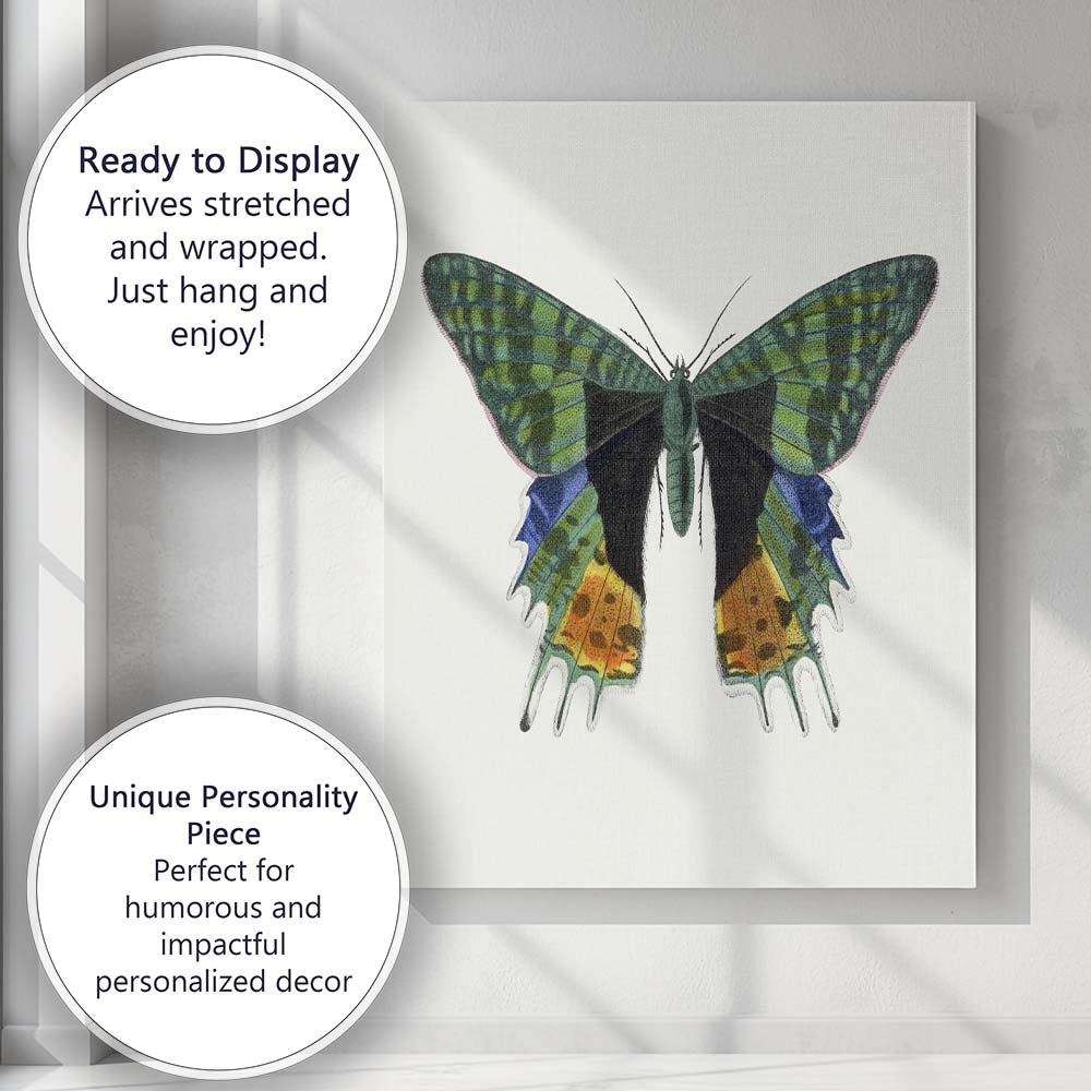Green Swallowtail Butterfly Botanical Canvas Wall Art Print Decor Picture Ready to Hang