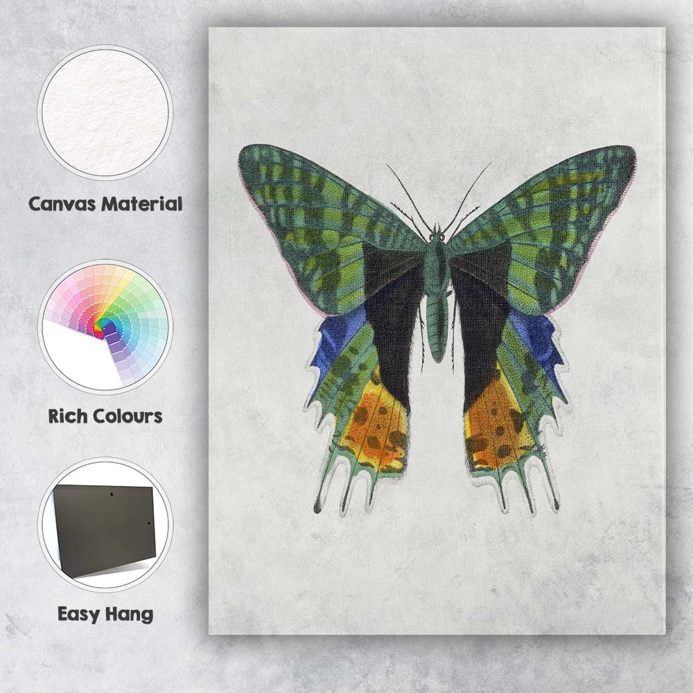 Green Swallowtail Butterfly Botanical Canvas Wall Art Print Decor Picture Ready to Hang