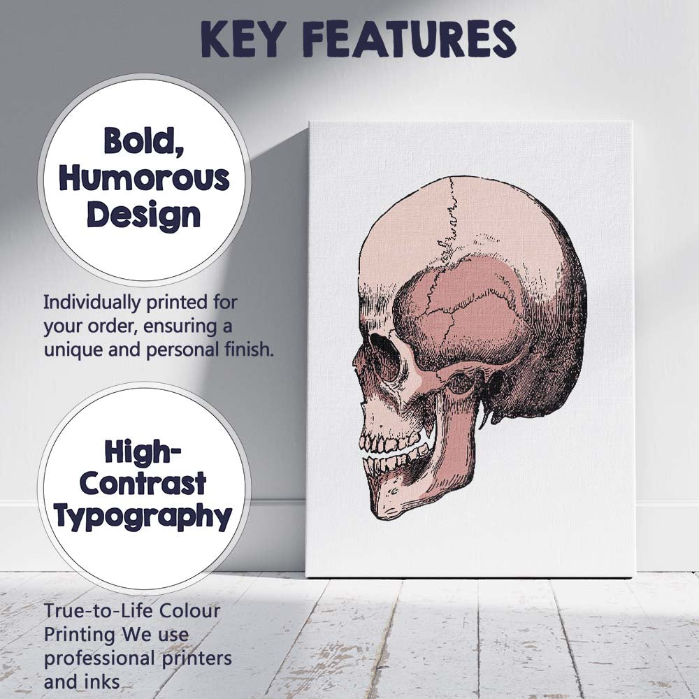 Pink Anatomical Skull Illustration Canvas Wall Art Print Decor Picture Ready to Hang