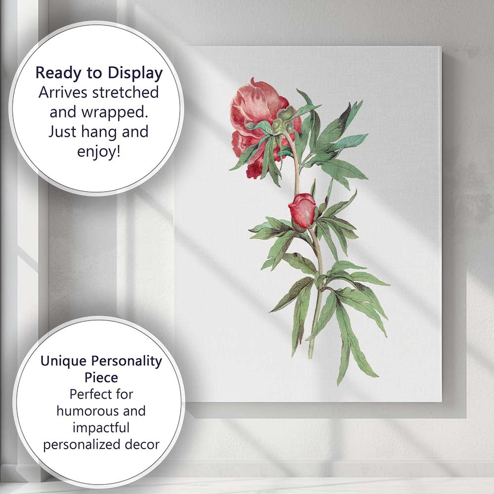 Red Peony Botanical Flower Study Canvas Wall Art Print Decor Picture Ready to Hang