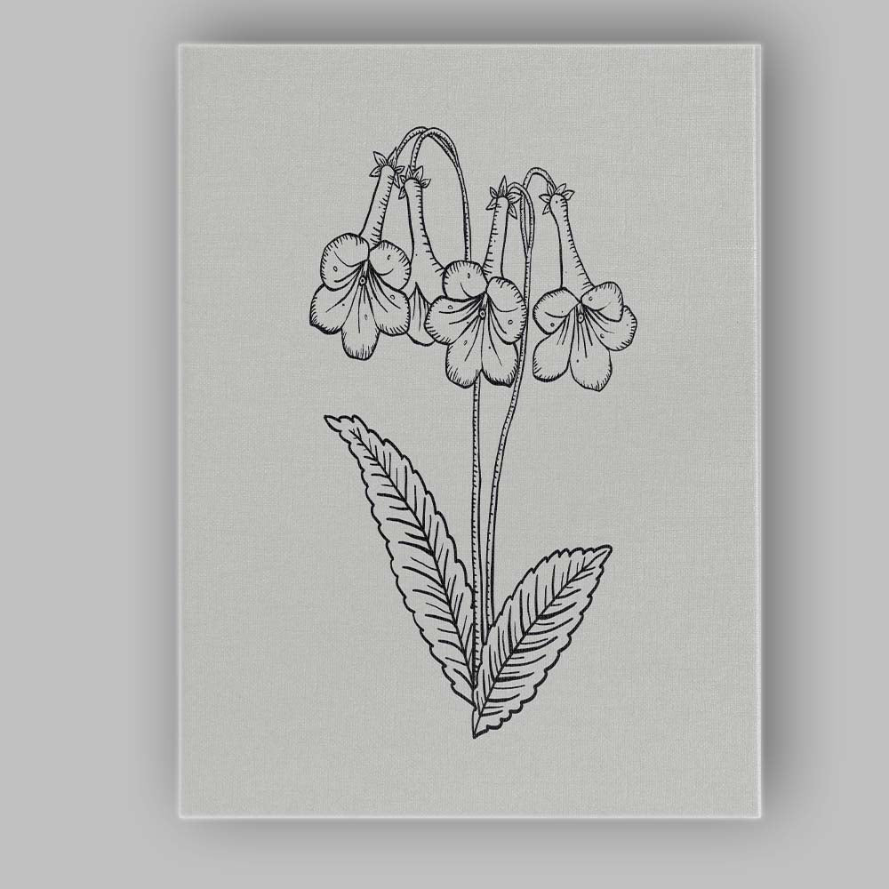 Black Line Hanging Flower Botanical Drawing Canvas Wall Art Print Decor Picture Ready to Hang