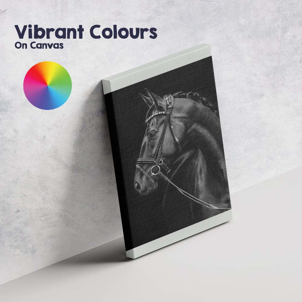 Elegant Black Horse Portrait Equestrian Photography Canvas Wall Art Print Decor Picture Ready to Hang