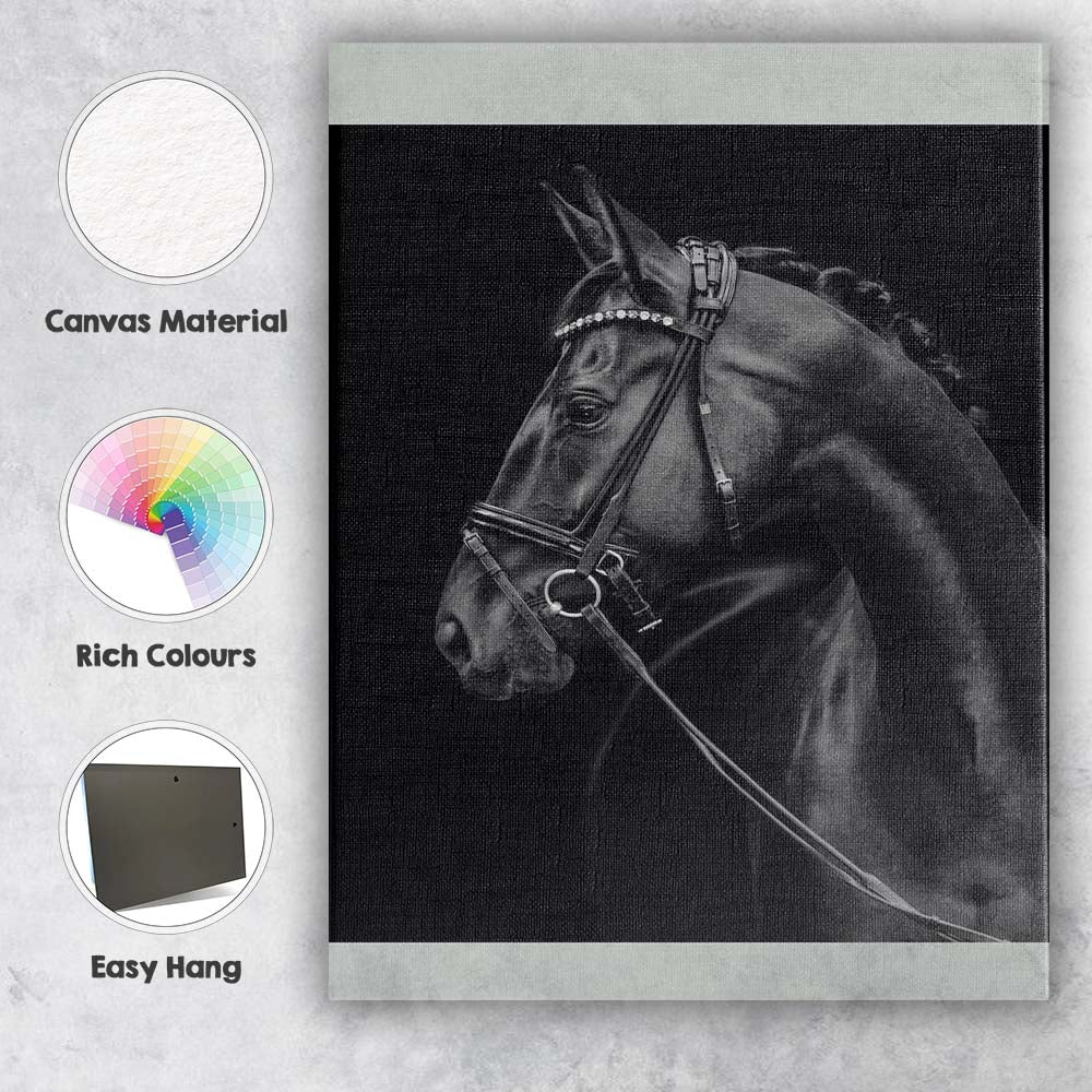 Elegant Black Horse Portrait Equestrian Photography Canvas Wall Art Print Decor Picture Ready to Hang