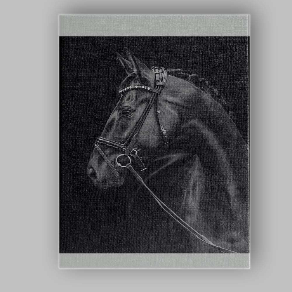 Elegant Black Horse Portrait Equestrian Photography Canvas Wall Art Print Decor Picture Ready to Hang