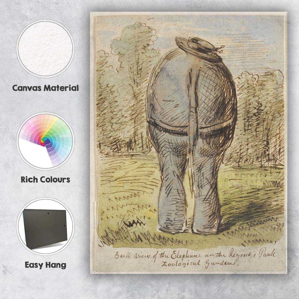 Humorous Elephant Rear View Zoo Animal Sketch Watercolour Canvas Wall Art Print Decor Picture Ready to Hang