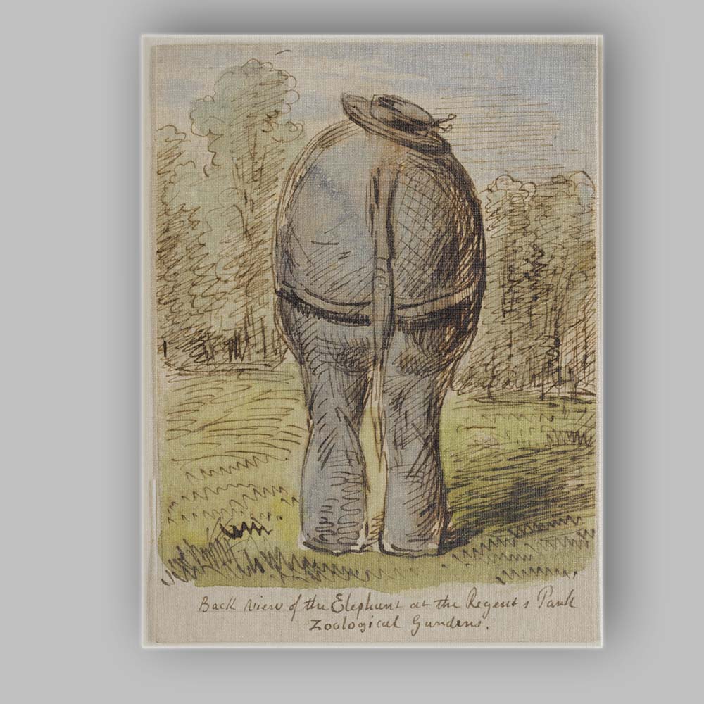 Humorous Elephant Rear View Zoo Animal Sketch Watercolour Canvas Wall Art Print Decor Picture Ready to Hang