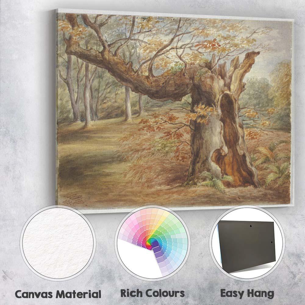 Ancient Woodland Hollow Tree Autumn Forest Watercolour Canvas Wall Art Print Decor Picture Ready to Hang