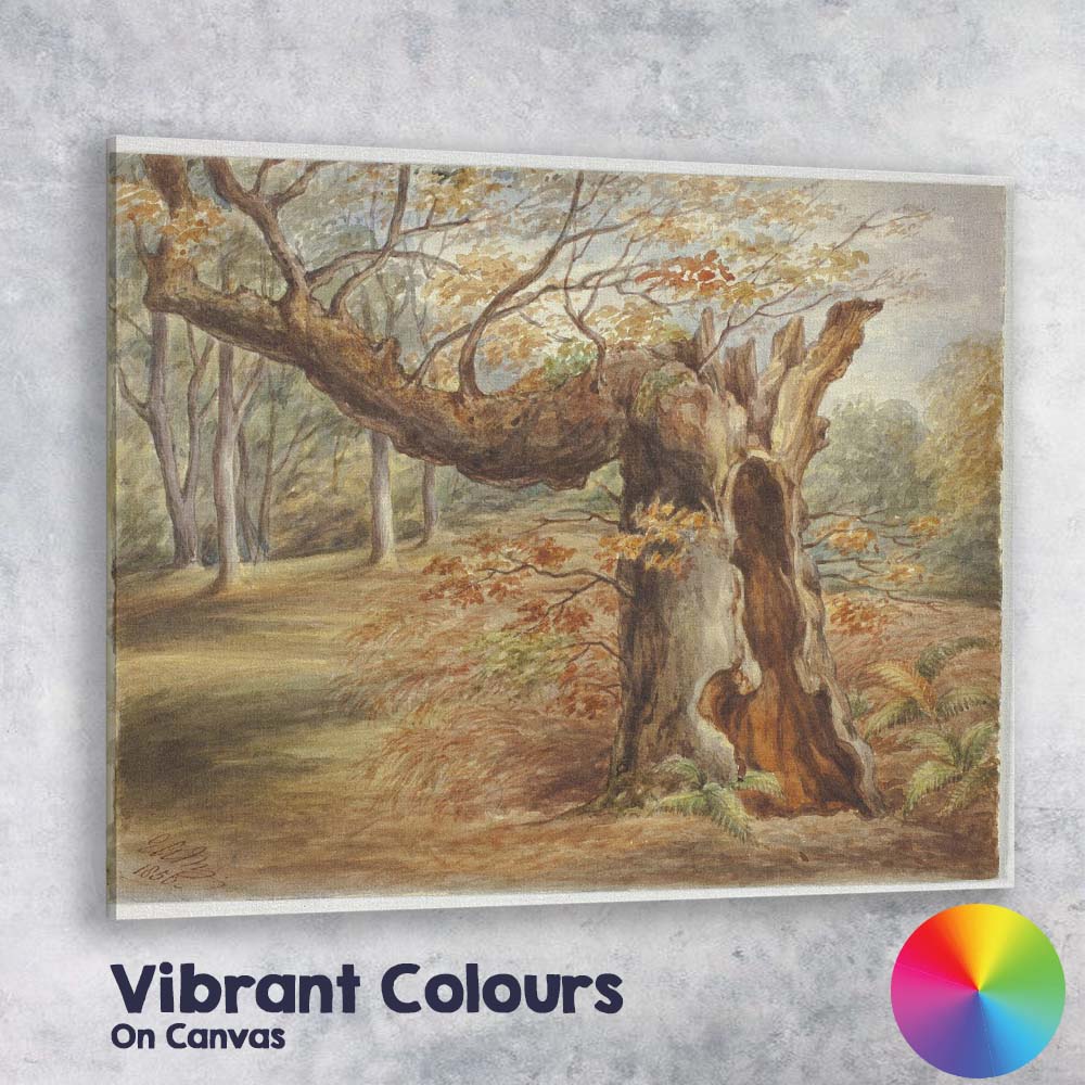 Ancient Woodland Hollow Tree Autumn Forest Watercolour Canvas Wall Art Print Decor Picture Ready to Hang
