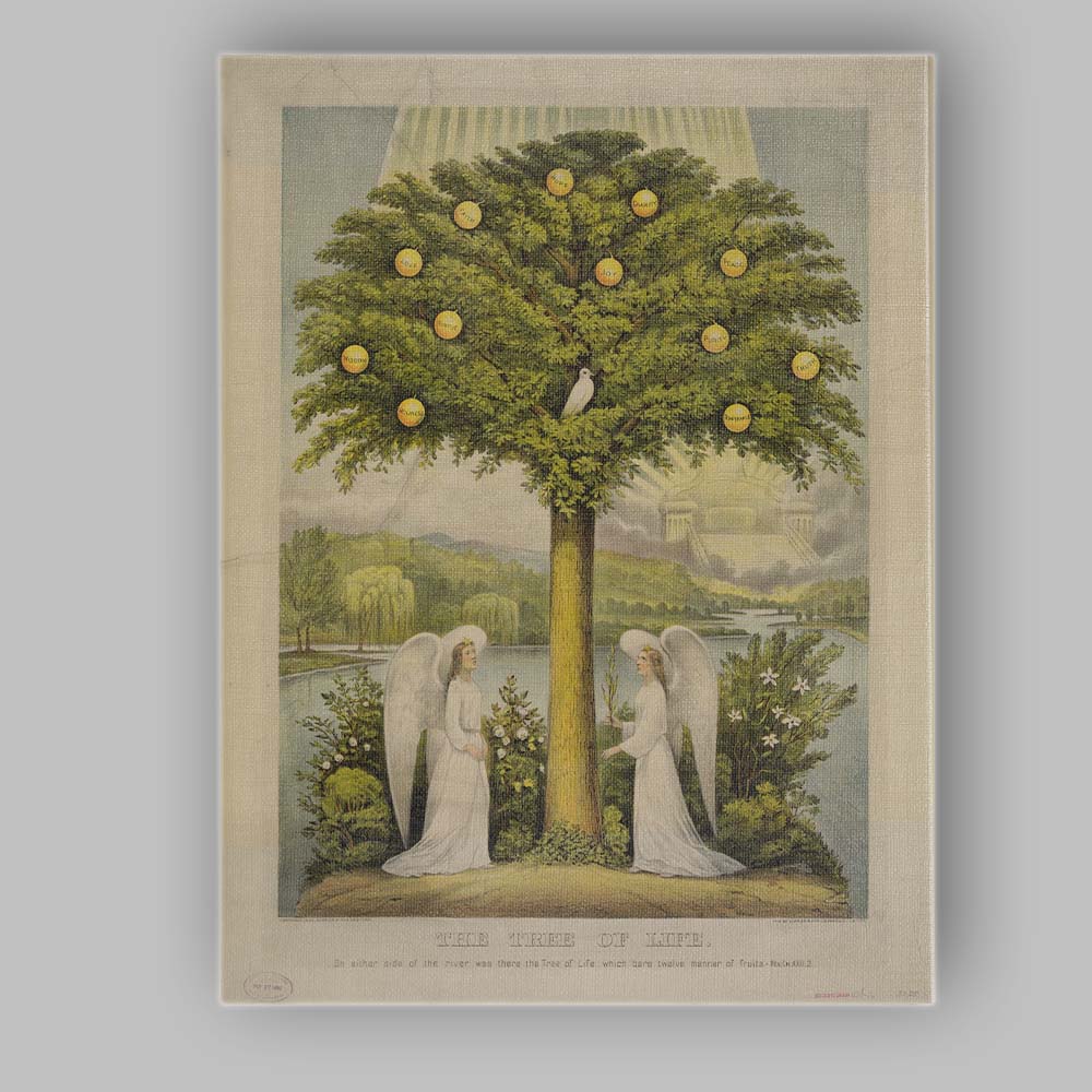 Tree Of Life Religious Angelic Botanical Illustration Canvas Wall Art Print Decor Picture Ready to Hang
