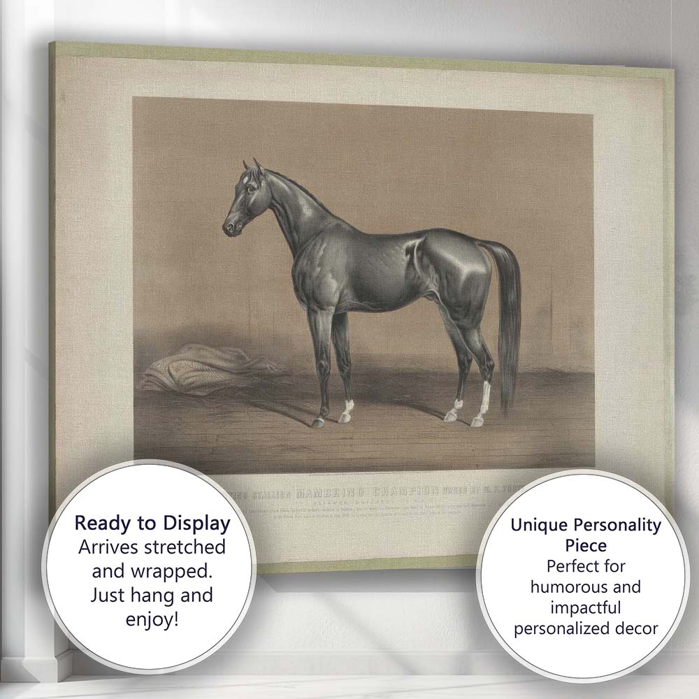 Champion Trotting Stallion Horse Study Antique Equestrian Portrait Canvas Wall Art Print Decor Picture Ready to Hang
