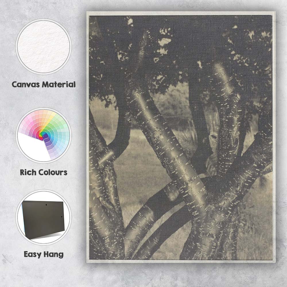 Monochrome Tree Trunks Botanical Nature Photography Canvas Wall Art Print Decor Picture Ready to Hang