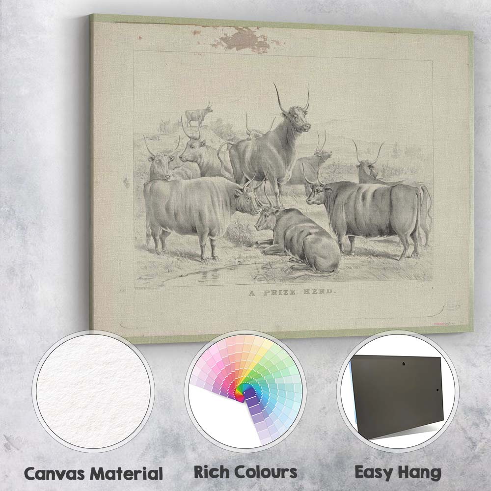 Monochrome Prize Herd Cattle Farm Livestock Antique Illustration Canvas Wall Art Print Decor Picture Ready to Hang