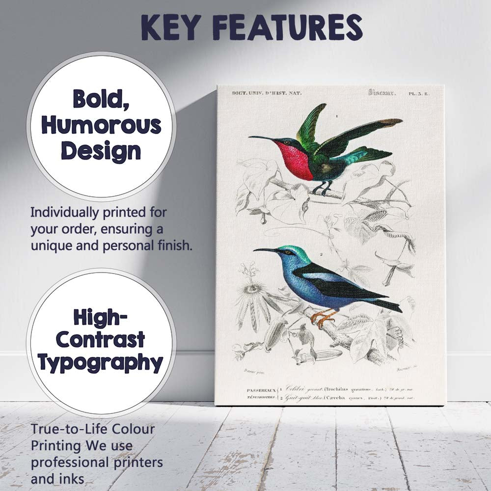 Tropical Hummingbird and Blue Honeycreeper Exotic Bird Illustration Canvas Wall Art Print Decor Picture Ready to Hang