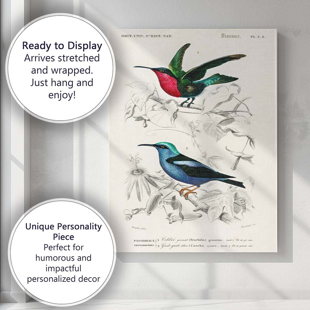 Tropical Hummingbird and Blue Honeycreeper Exotic Bird Illustration Canvas Wall Art Print Decor Picture Ready to Hang