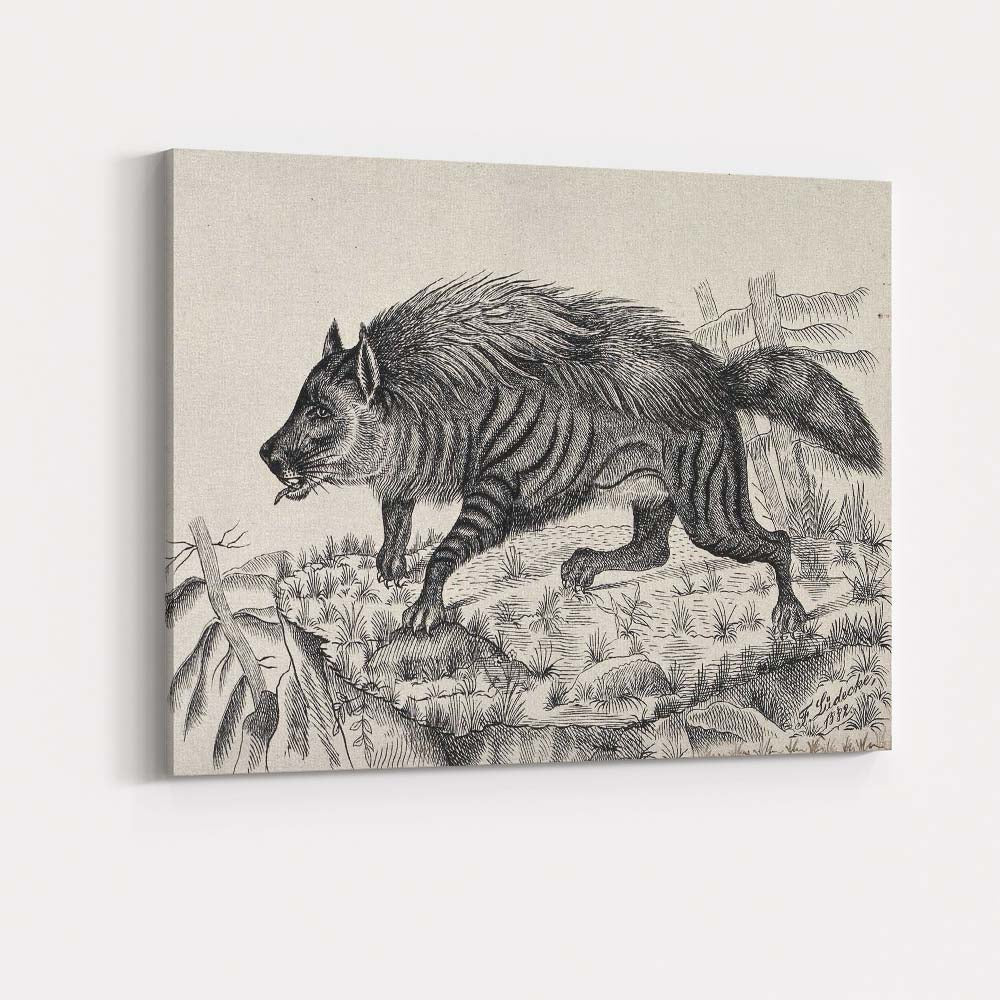 Striped Hyena Antique Zoological Engraving Canvas Wall Art Print Decor Picture Ready to Hang