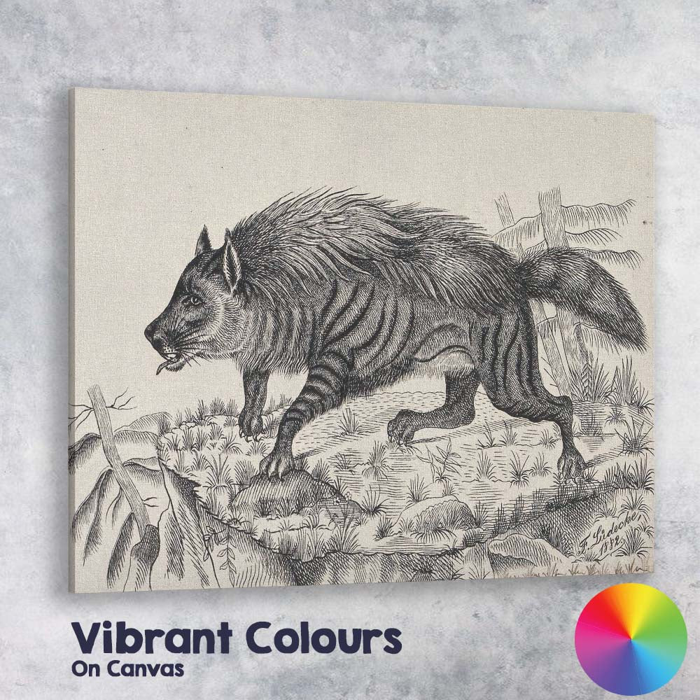 Striped Hyena Antique Zoological Engraving Canvas Wall Art Print Decor Picture Ready to Hang
