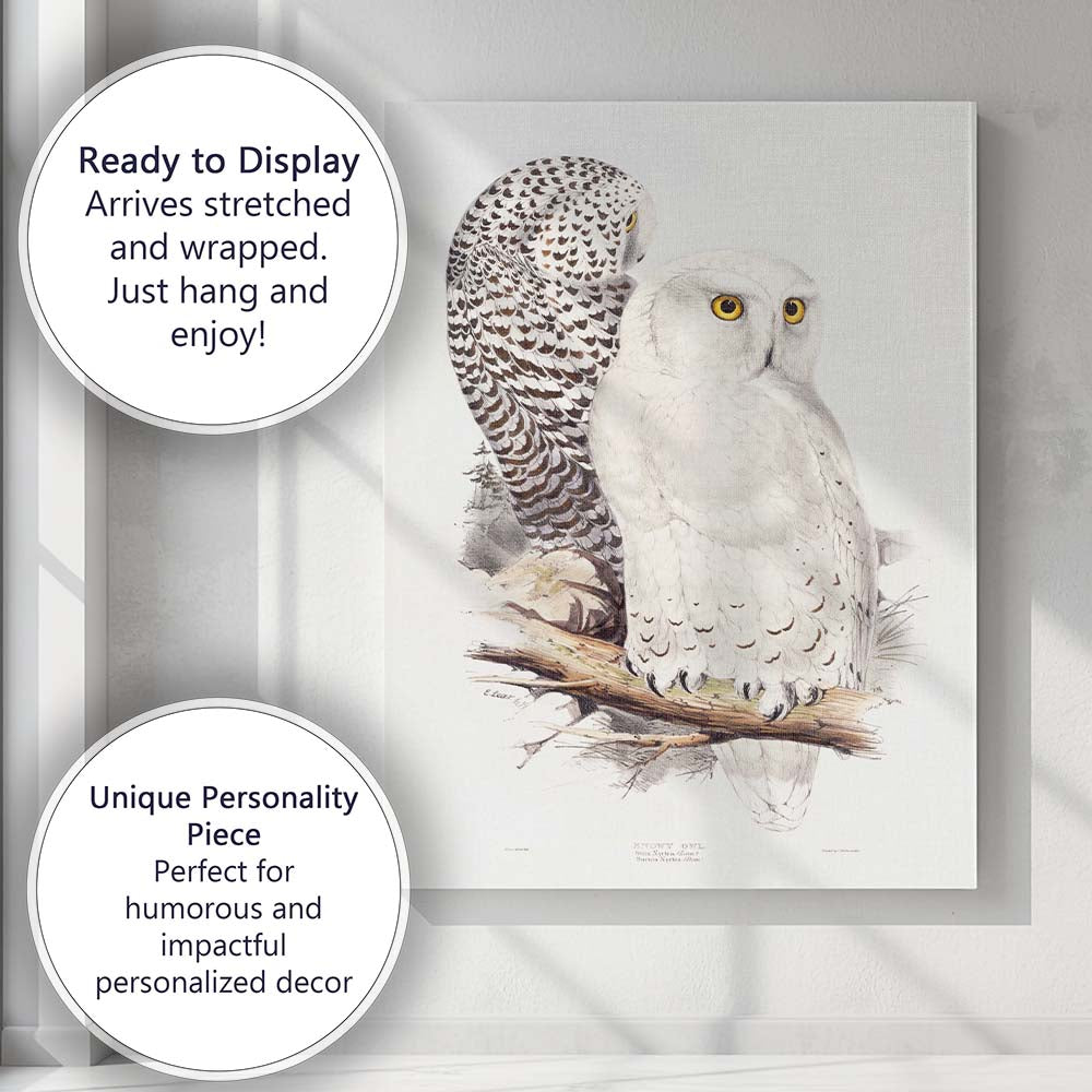 Elegant Snowy Owl Pair Wildlife Natural History Illustration Canvas Wall Art Print Decor Picture Ready to Hang