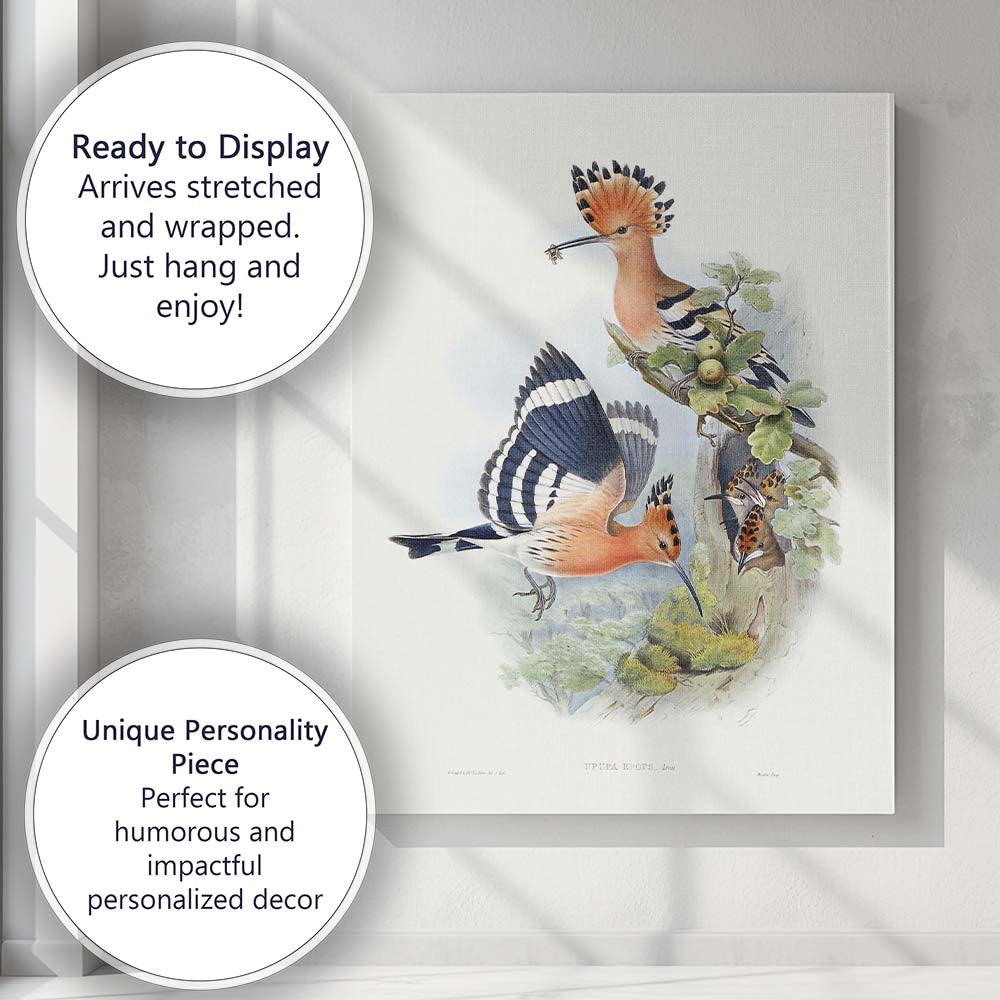 Colourful Hoopoe Bird Family Botanical Wildlife Illustration Canvas Wall Art Print Decor Picture Ready to Hang