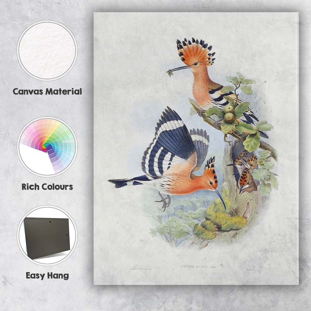 Colourful Hoopoe Bird Family Botanical Wildlife Illustration Canvas Wall Art Print Decor Picture Ready to Hang