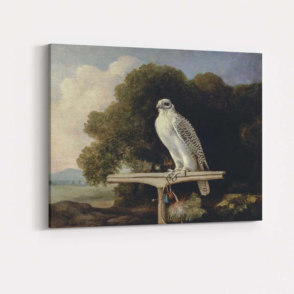 Majestic White Falcon Perched In Landscape Classical Wildlife Painting Canvas Wall Art Print Decor Picture Ready to Hang