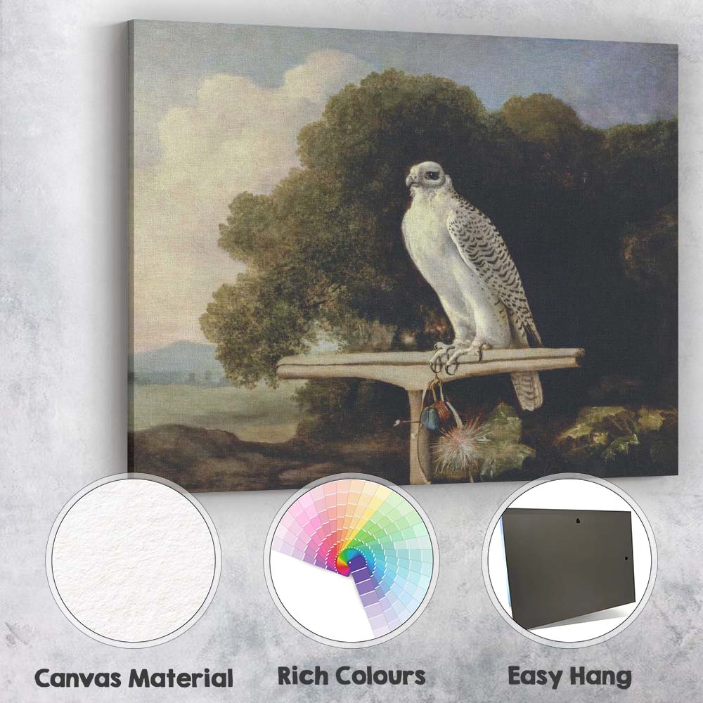 Majestic White Falcon Perched In Landscape Classical Wildlife Painting Canvas Wall Art Print Decor Picture Ready to Hang