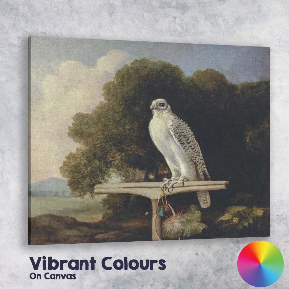 Majestic White Falcon Perched In Landscape Classical Wildlife Painting Canvas Wall Art Print Decor Picture Ready to Hang