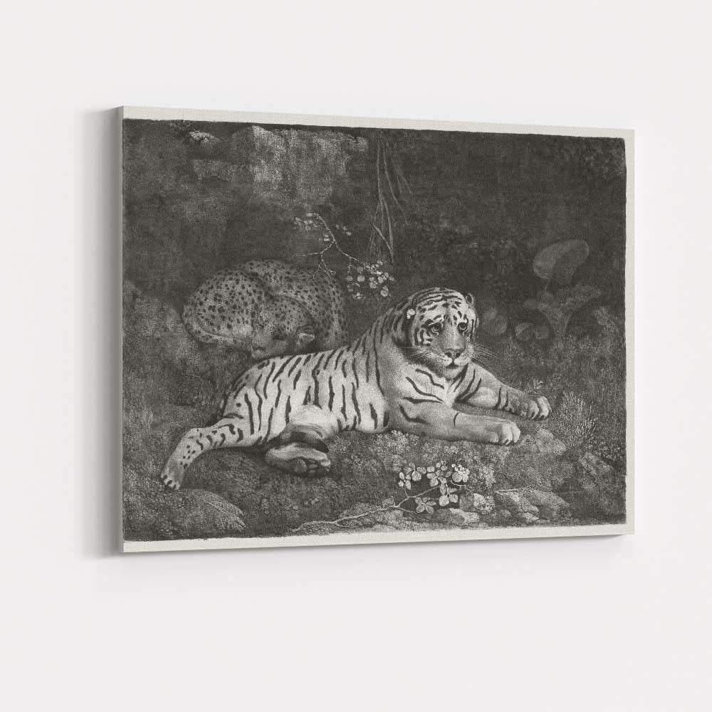 White Tiger And Leopard Jungle Wildlife Monochrome Illustration Canvas Wall Art Print Decor Picture Ready to Hang