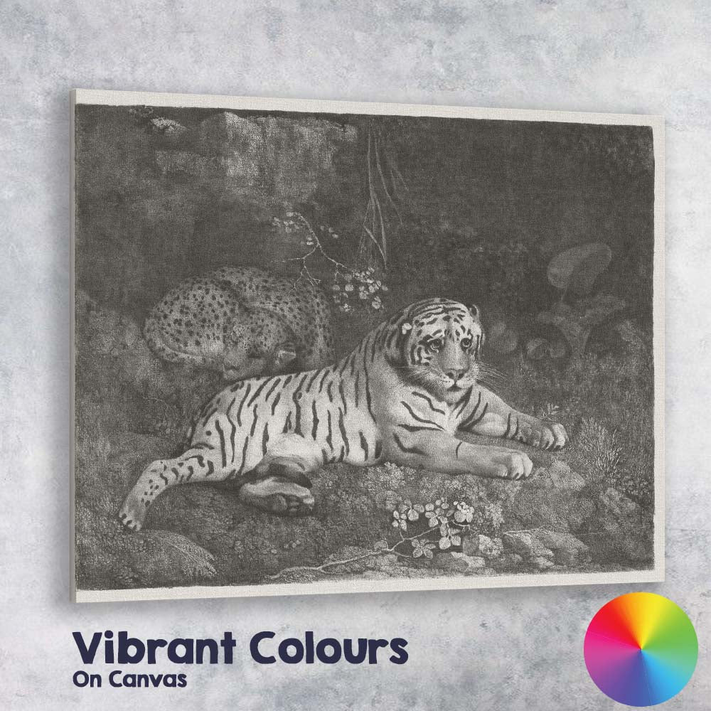 White Tiger And Leopard Jungle Wildlife Monochrome Illustration Canvas Wall Art Print Decor Picture Ready to Hang