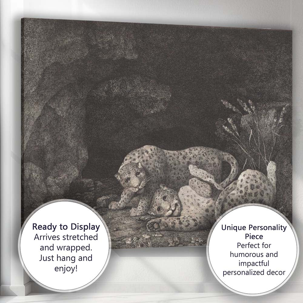 Pair Of Leopards Resting By Cave Antique Wildlife Engraving Canvas Wall Art Print Decor Picture Ready to Hang