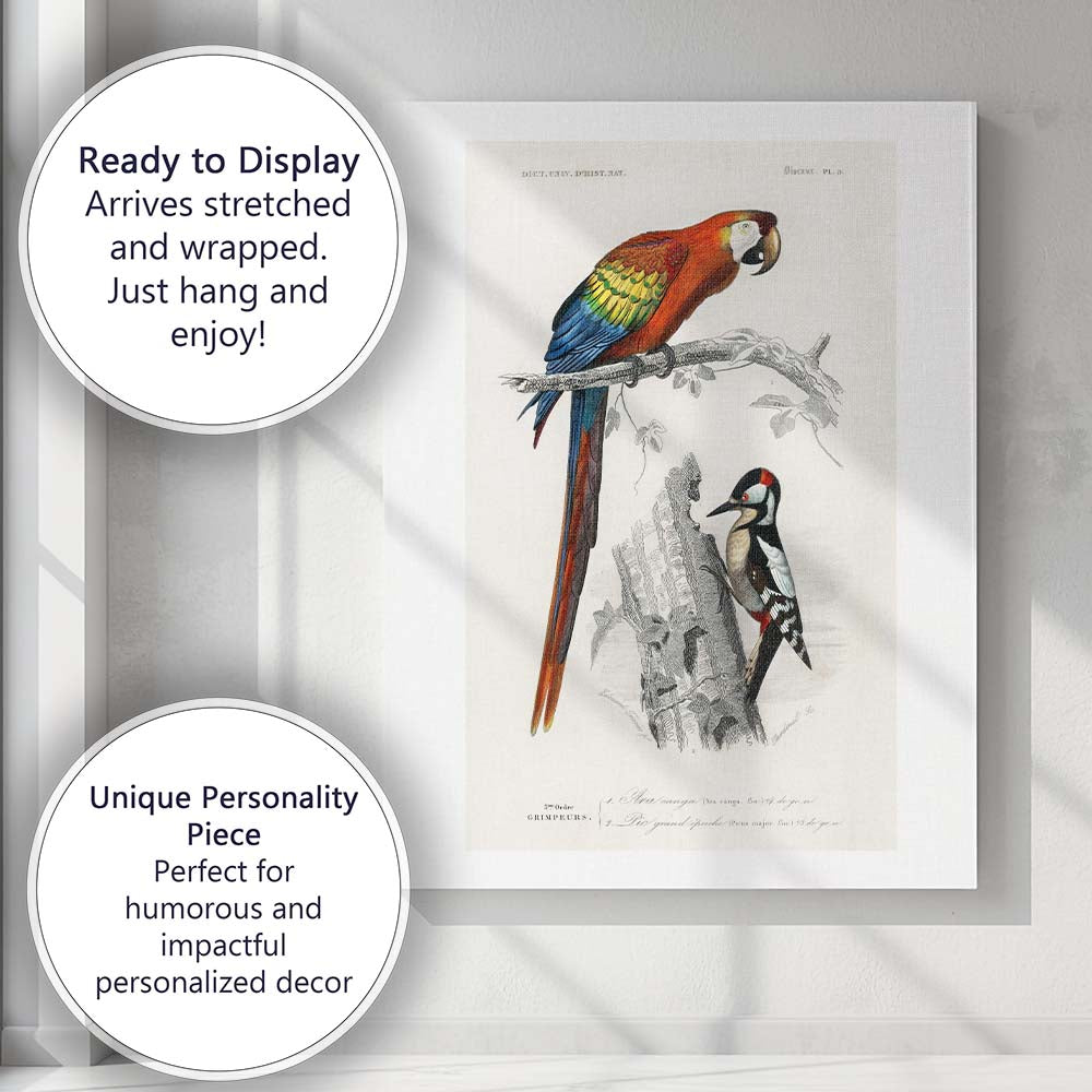 Colourful Scarlet Macaw And Woodpecker Natural History Bird Illustration Canvas Wall Art Print Decor Picture Ready to Hang