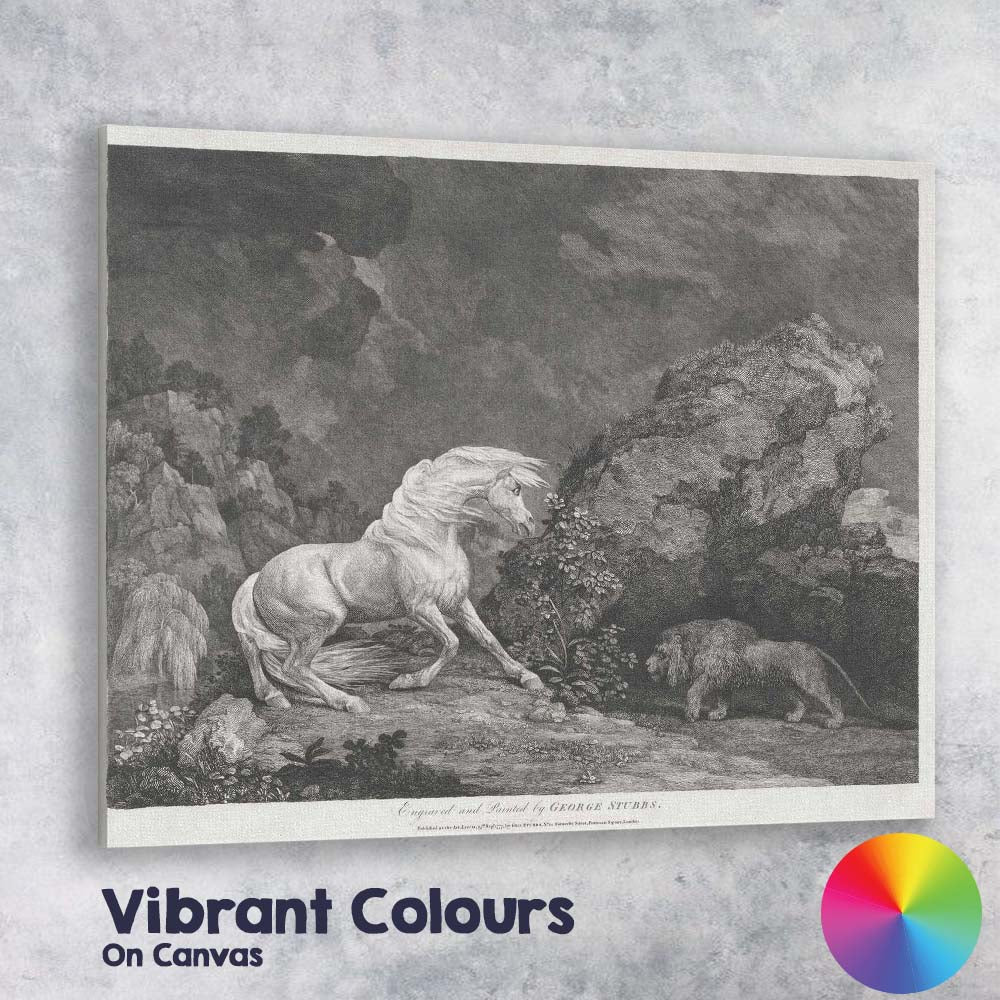 Rearing White Horse Confronting Lion Dramatic Antique Engraving Canvas Wall Art Print Decor Picture Ready to Hang